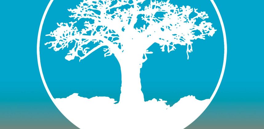 BOUYGUES BAOBAB 2025